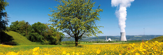 Kernkraftwerk Leibstadt Schweiz