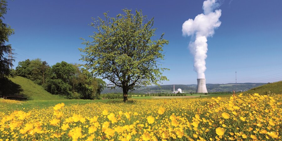 Kernkraftwerk Leibstadt