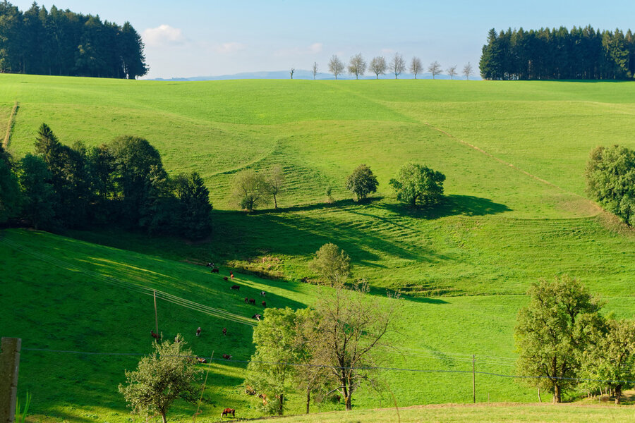 Stilllegung Grüne Wiese